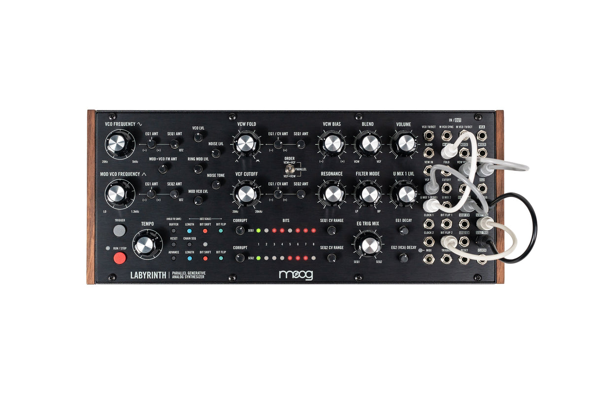 Moog - Labyrinth