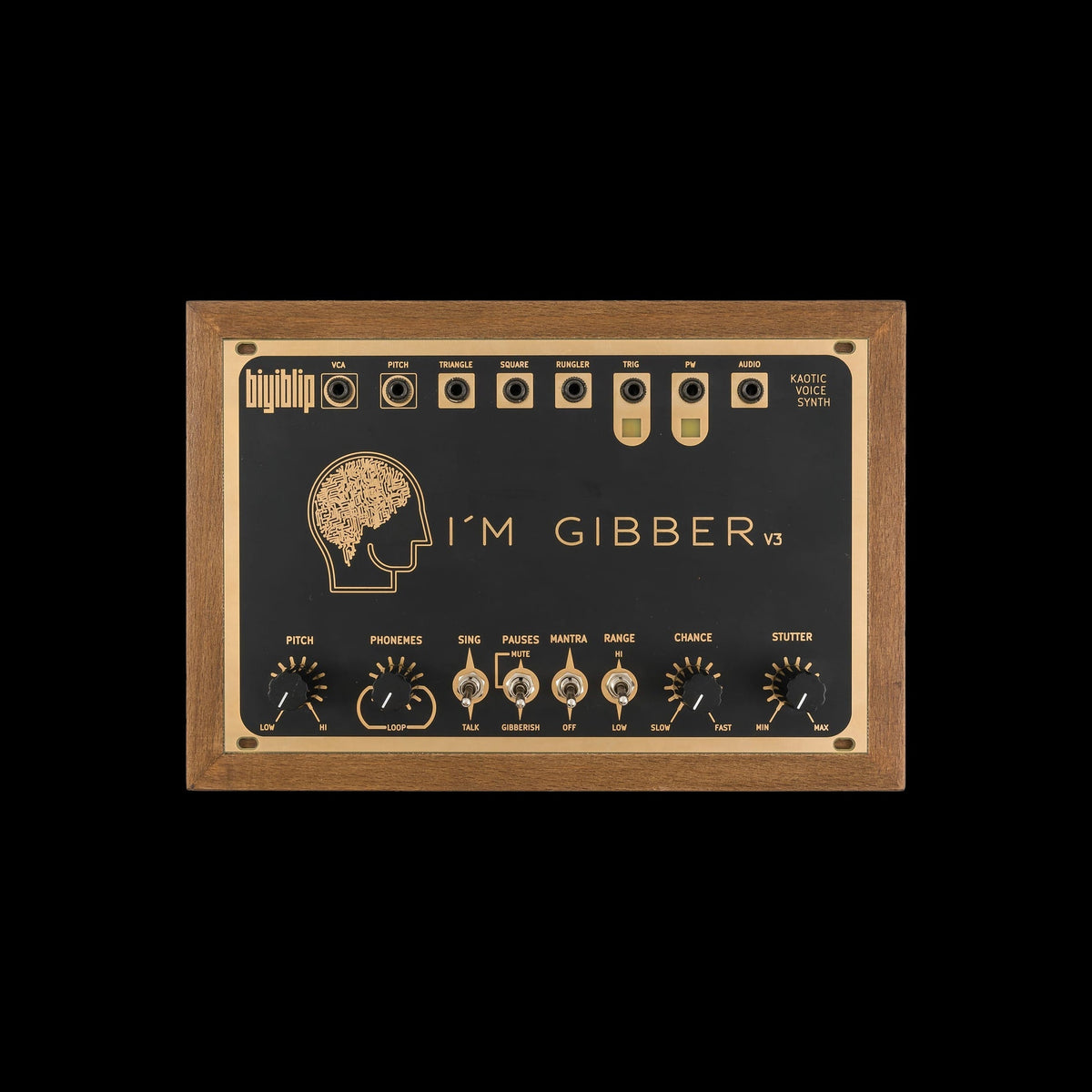 Biyiblip - I'm Gibber V3